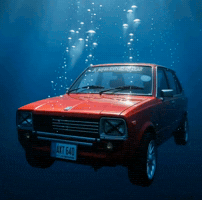 Redcar GIF