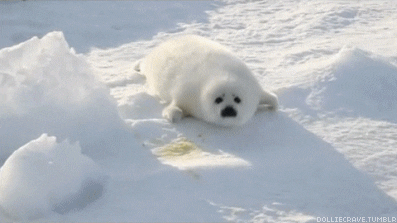 verzegel GIF