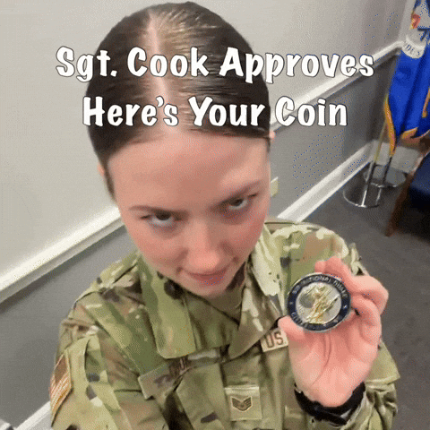 Air Force Army GIF