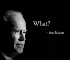 Joe Biden What GIF