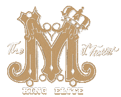 Texas Football Sticker by Bridge The Gaps