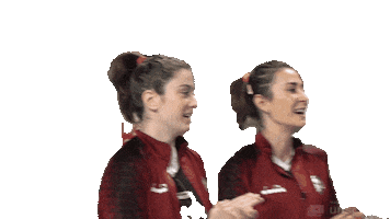 Spor Kulübü Aksaray Sticker