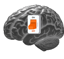 Brain Sticker by ERG Desenvolvimento