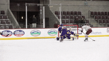 Ice Hockey Goal GIF by Norwich University