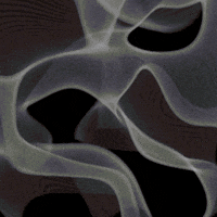 3D Loop GIF by tracheotommy