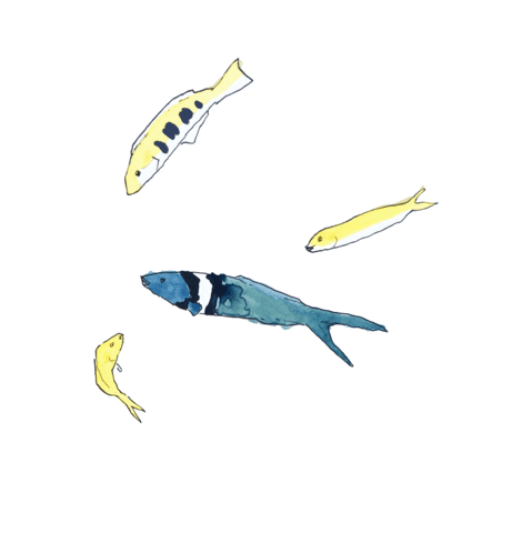 Animated Sticker