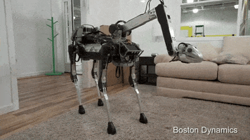 joshmatamoros dog robot boston dynamics robotdog GIF