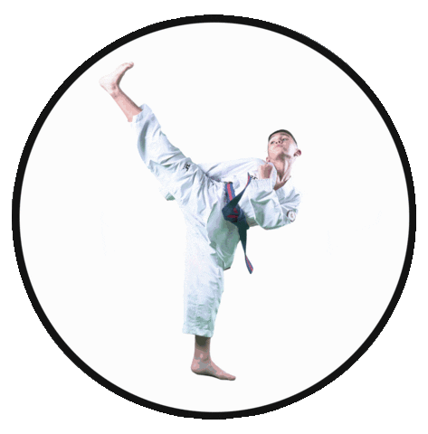 Tyler Caceres Sticker by Leveluptaekwondo