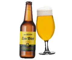 Beer Cerveza Sticker by Leo Boeck