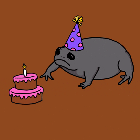 Party GIF