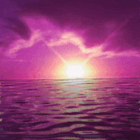 Pink Sunset GIFs - Find & Share on GIPHY