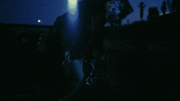 Leonardo Dicaprio Pta GIF