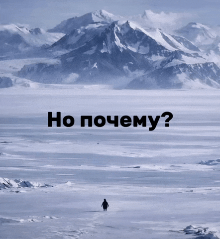 Penguin Freedom GIF