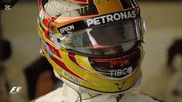 Lewishamilton Wentpeo Formula1 F1 Hamilton GIF
