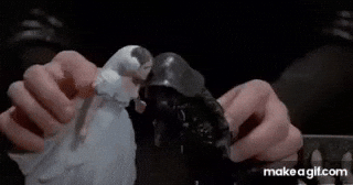 Dolls Action Figures GIF