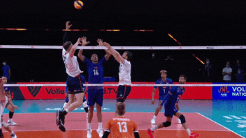 France Wow GIF by Volleyball World