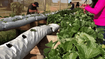 GIF by Faculdade FAEF