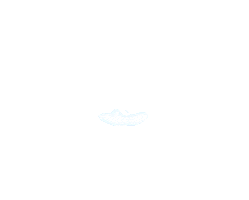 Black Bruin Sticker