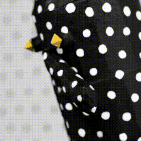 Angine De Poitrine GIF