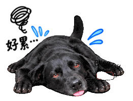 Lulu Sticker by ltudcd