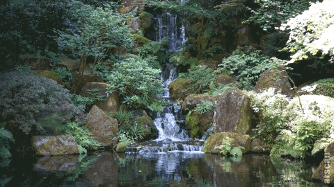 Image result for gif waterfalls gif