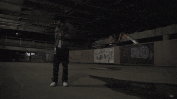 009fly GIF