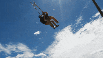 challenge course GIF by Laurentian University