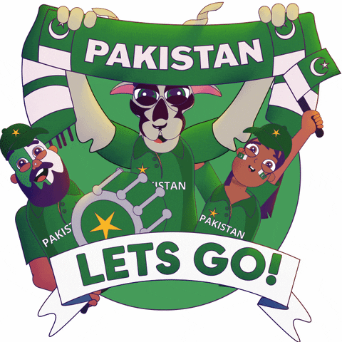 Cricket Pakistan GIF by Manne Nilsson