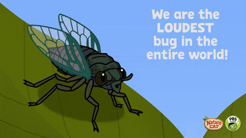 fly bug animated gif