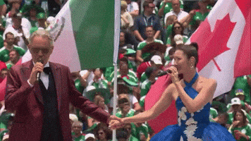 World Cup GIF