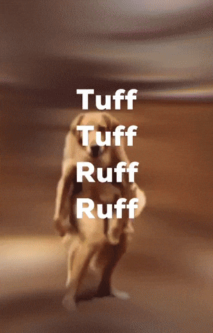 Dog Tuff GIF