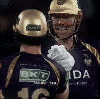 Kkr Kolkata GIF