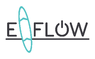 E-FLOW Sticker