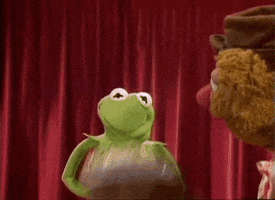 Suis je la seule a aimer les Muppets ?