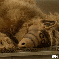 Tired Tv Show GIF by Laff