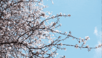 GIF by Tedworth