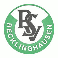 Chantal GIF by PSV Recklinghausen Handball