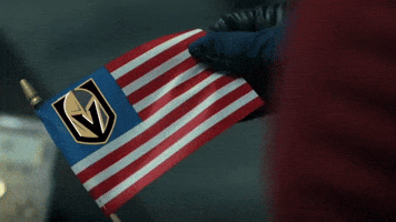 No Means No Vegas Golden Knights GIF