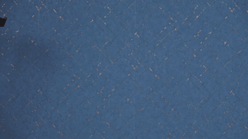 Chicken Livestream GIF by StreamEins