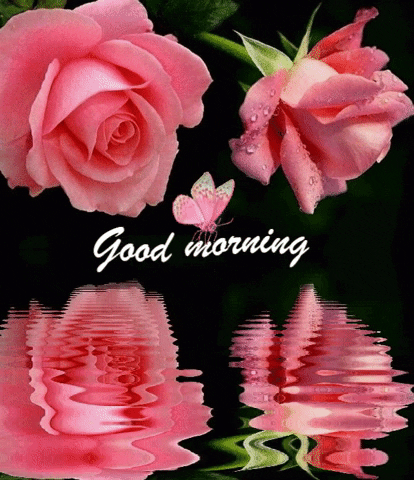 Good Morning GIF