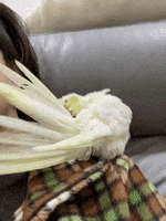 200.gif?cid=fc005b086d476a082a4d2ebb71f80aacfe671dd4b5be8750&rid=200.gif&ct=g