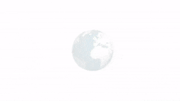 GIF by Carson exports