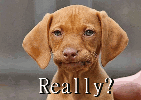 Disappointed-head-shake GIFs - Get the best GIF on GIPHY