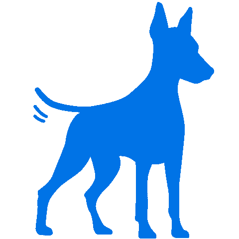 Pinscher Bluedog Sticker by Suomen Kennelliitto ry