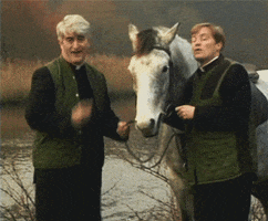 Father Ted Horse GIF