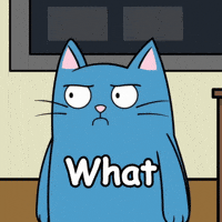 Blue Cat What GIF