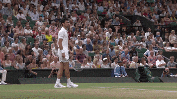 angry novak djokovic GIF by Wimbledon