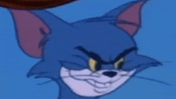 Tom And Jerry GIF