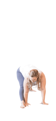 Foxy FIT GIF