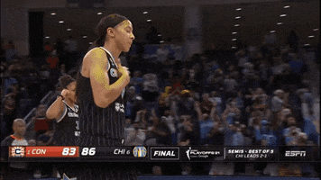 Wnba Playoffs Hug GIF by WNBA